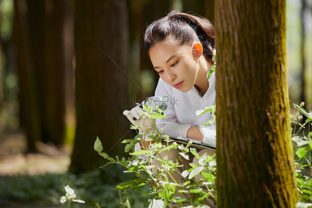 a-plant-scientist-who-observes-plants-with-a-magnifying-glass-picture