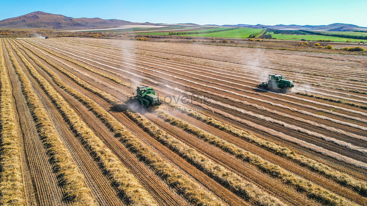 Autumn Harvest Team Picture And HD Photos | Free Download On Lovepik