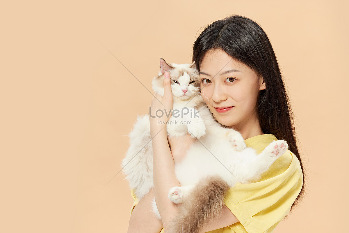 30+ Hình Nền Mèo Cute Dùng Cho Cả Điện Thoại Và Máy Tính - ALONGWALKER