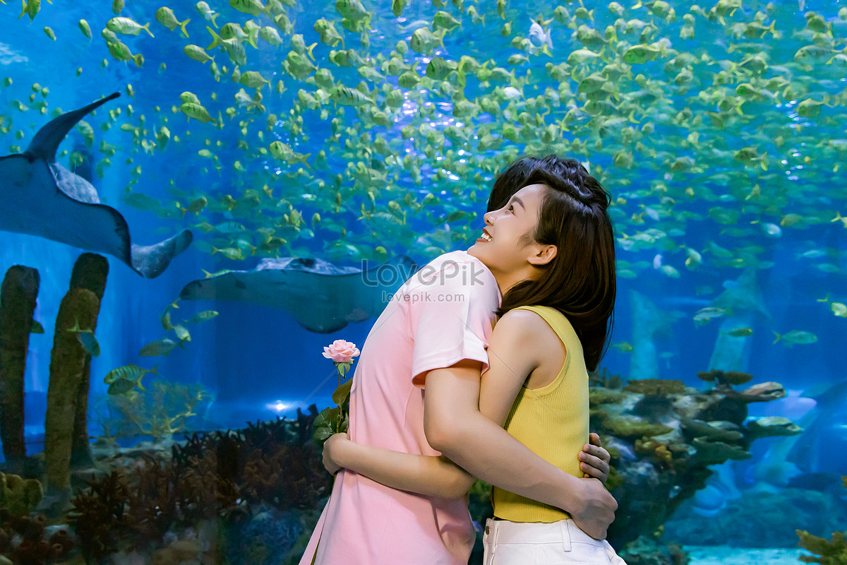 Como enamorar a un acuario