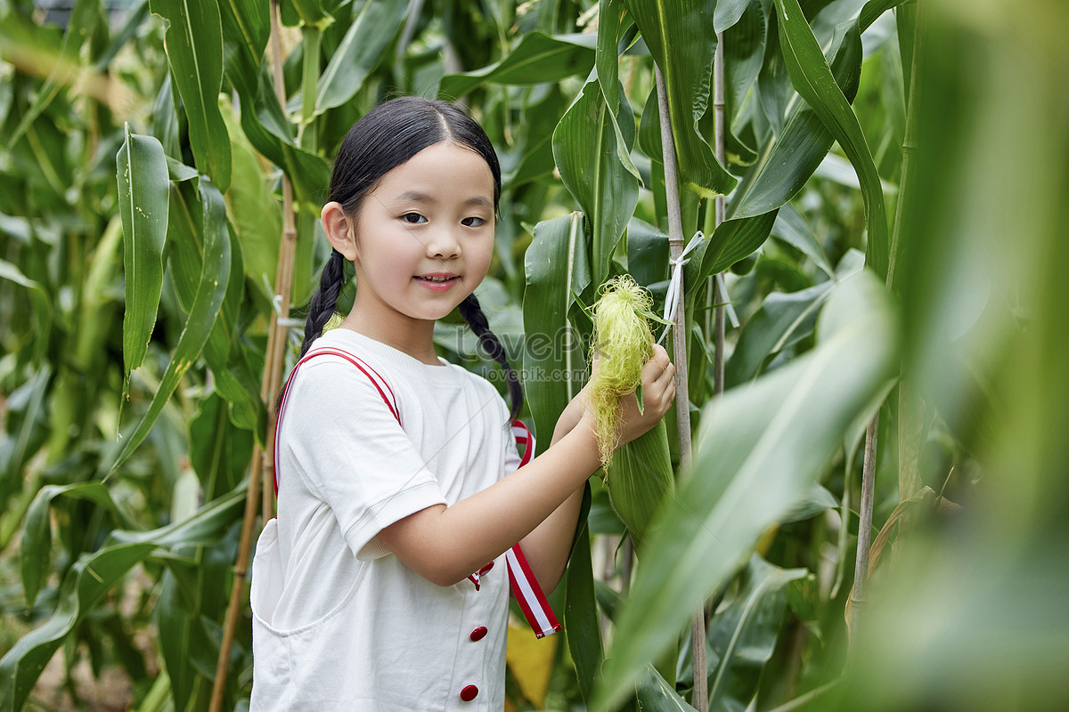 Corn & Peg - Watch Free on Pluto TV Canada