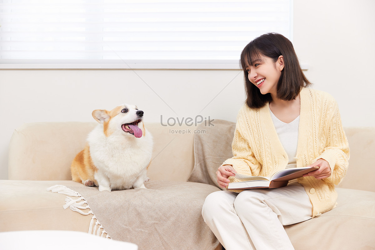 Pet Dog And Hostess Intimate Interaction Picture And HD Photos | Free ...