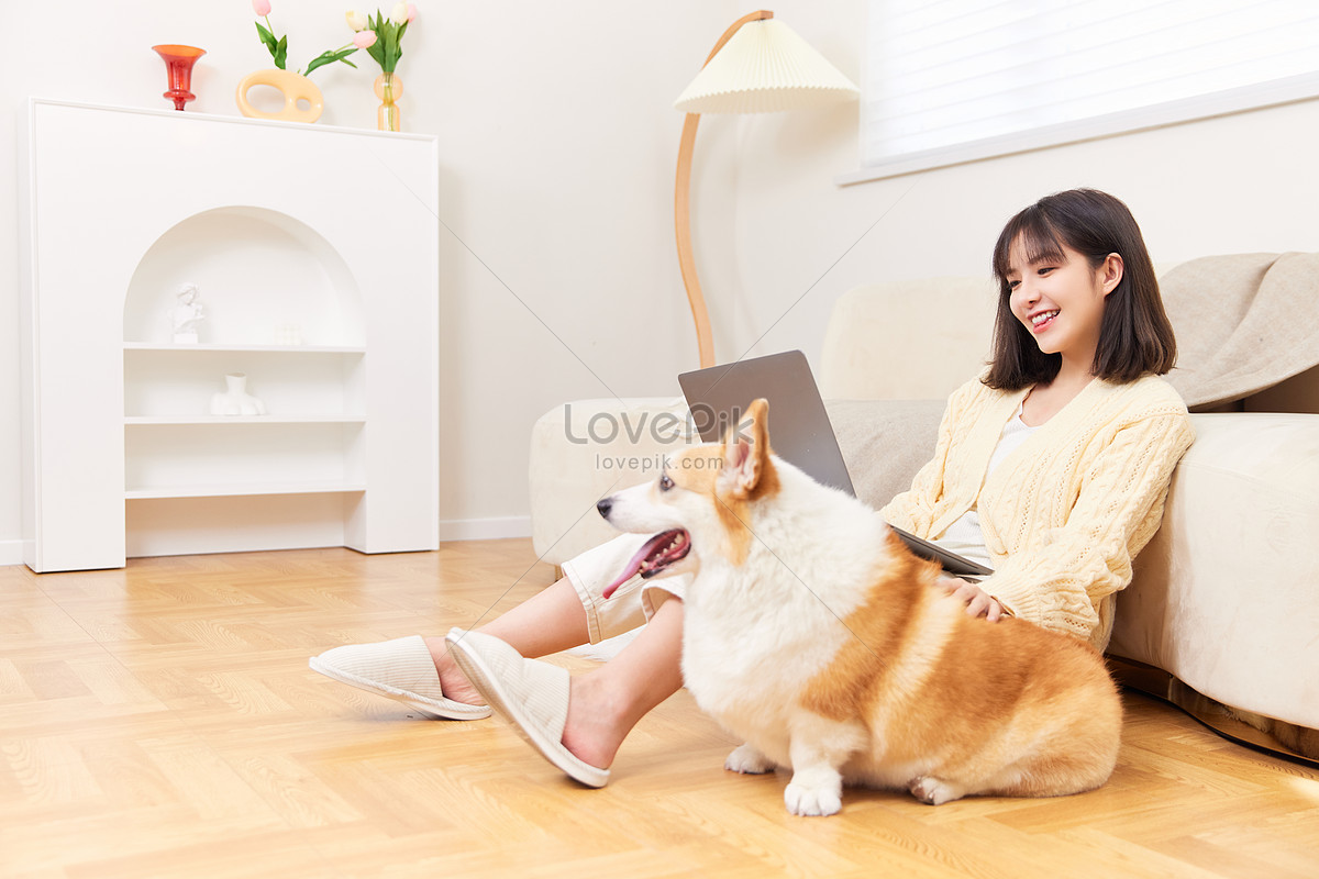 Pet Dog With Owner Picture And HD Photos | Free Download On Lovepik