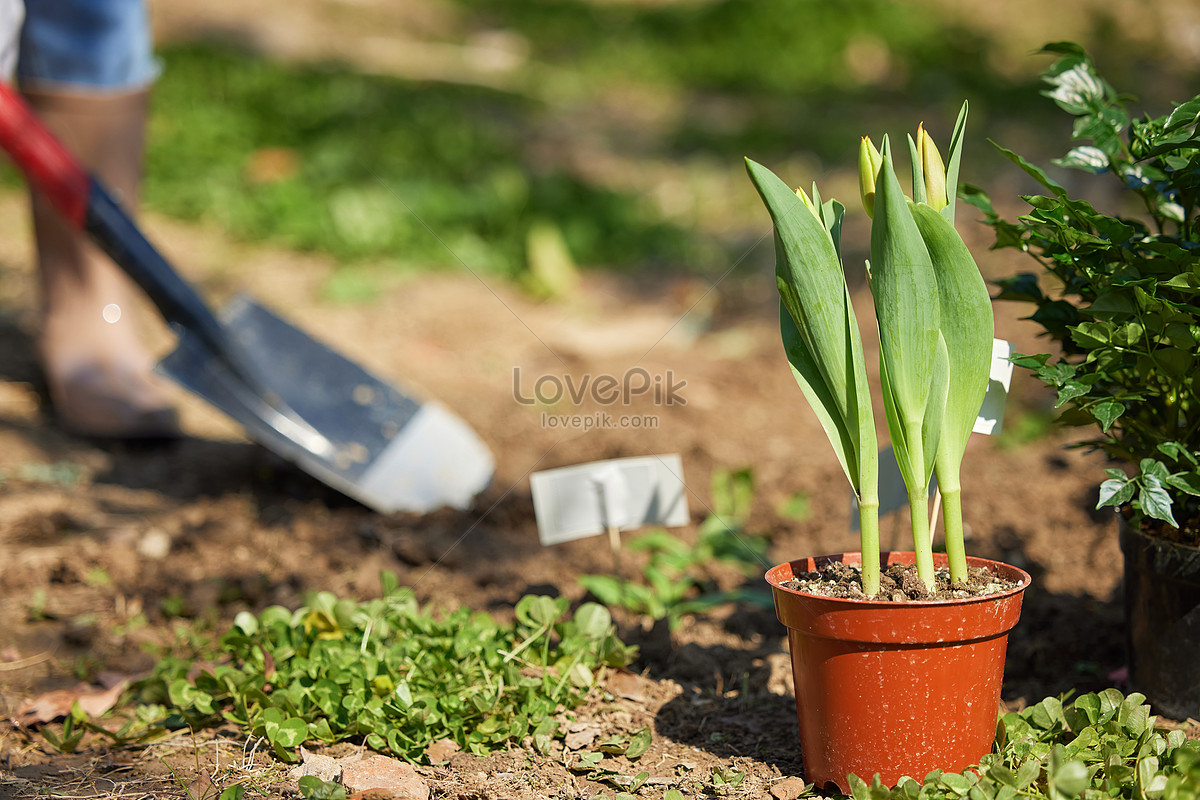 копание грязи изображение, копание грязи фото_Фоновое  изображение_ru.lovepik.com Бесплатная картинка