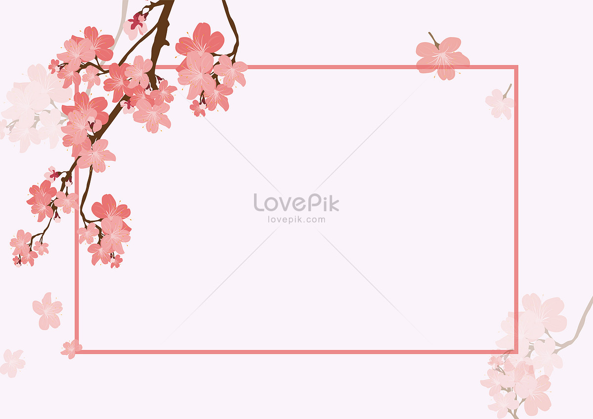 아름다운 배경 이미지, 사진 및 Png 일러스트 무료 다운로드 - Lovepik