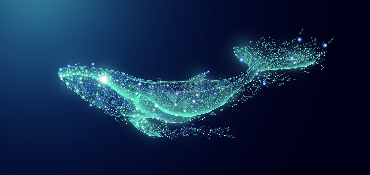 Marine Science And Technology Whale Background Download Free | Banner ...