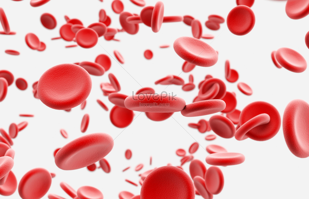 医学 红细胞 红血球 白细胞 白血球 血小板 3d三维全息_AD1569-站酷ZCOOL