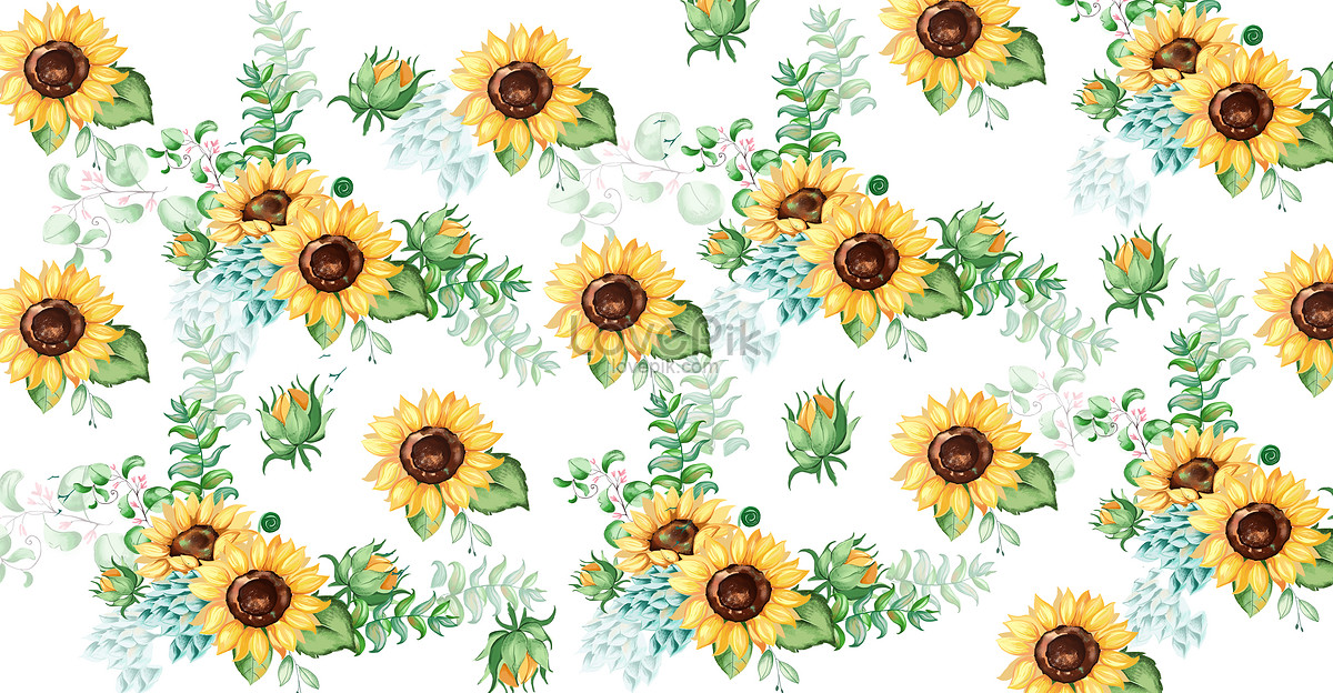 Sunflower Background Images, HD Pictures For Free Vectors Download ...