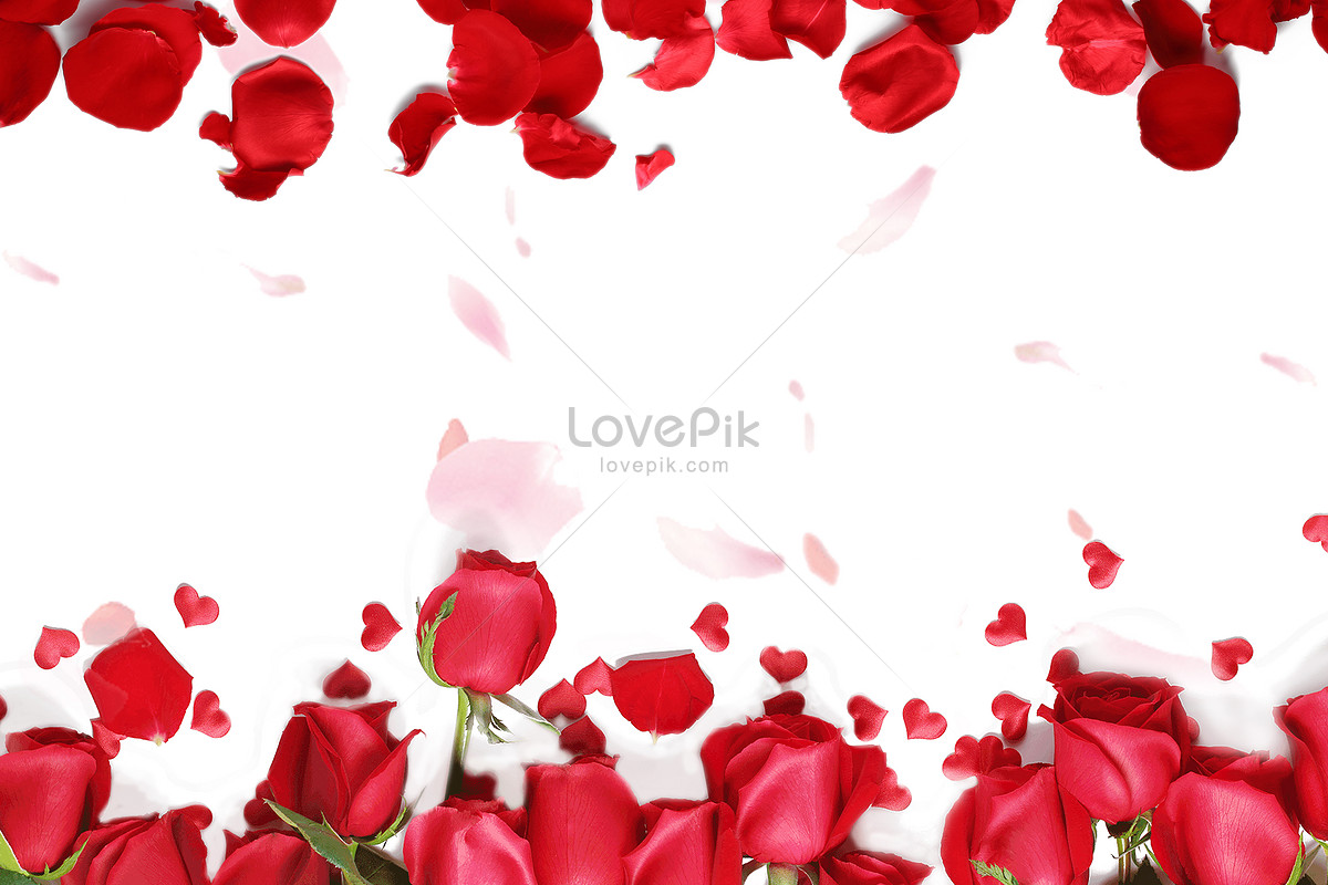 Hình ảnh hoa hồng đỏ sáng tạo thật đặc biệt, đem đến cho bạn một trải nghiệm thật thú vị về sự sáng tạo trong việc trồng và chăm sóc cây hoa hồng. Hãy chiêm ngưỡng những bông hoa hồng đỏ nổi bật và đầy bản sắc này.