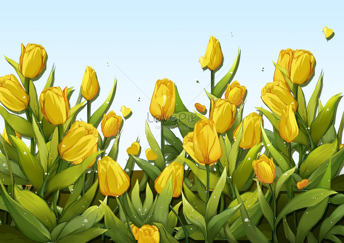 Làm sao để có được hình nền hoa tulip tuyệt đẹp cho thiết bị của bạn? Hãy xem ngay và chọn lựa trong bộ sưu tập những hình ảnh hoa tulip đẹp mắt nhất giúp cho hình nền của bạn trở nên cuốn hút hơn.
