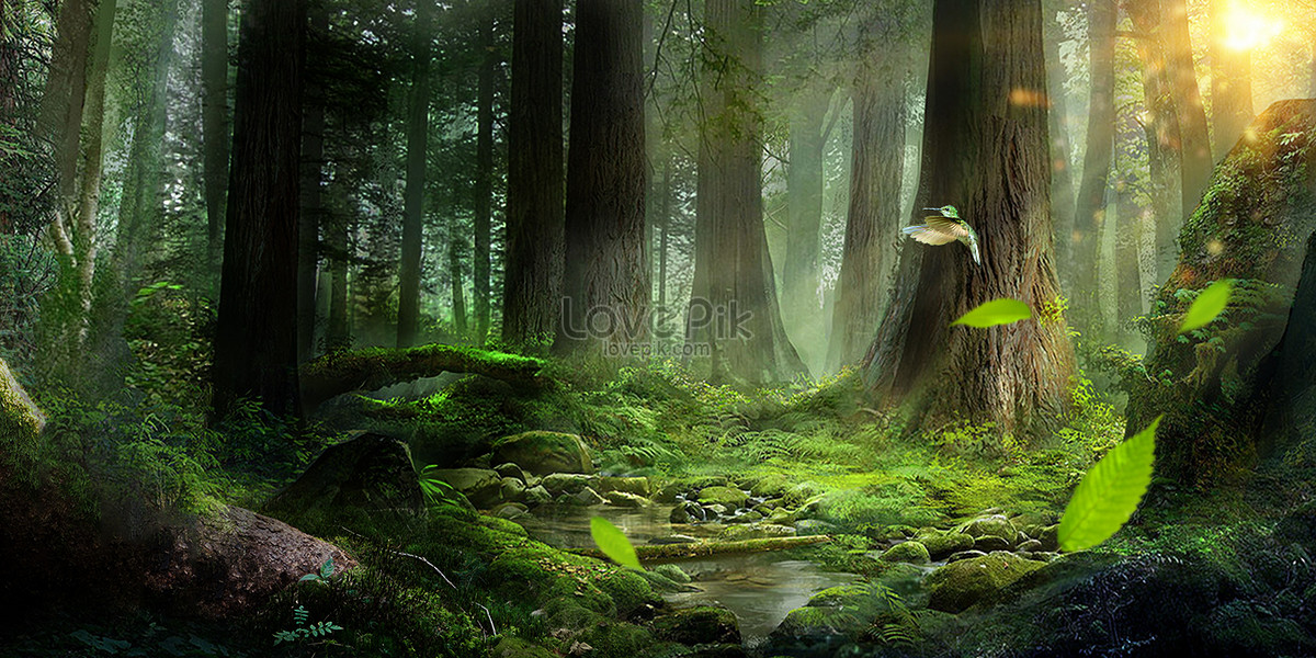 Forest Background Images, HD Pictures For Free Vectors Download -  