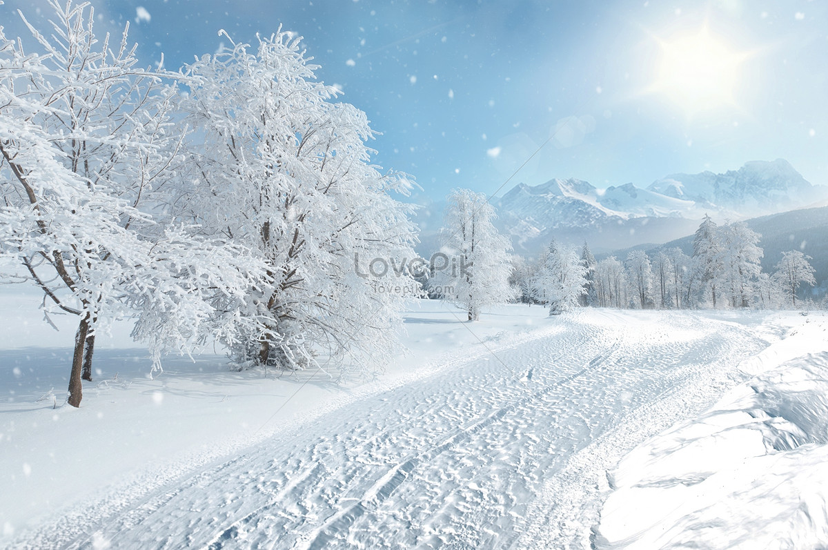 tempat salji musim sejuk gambar unduh gratis imej 