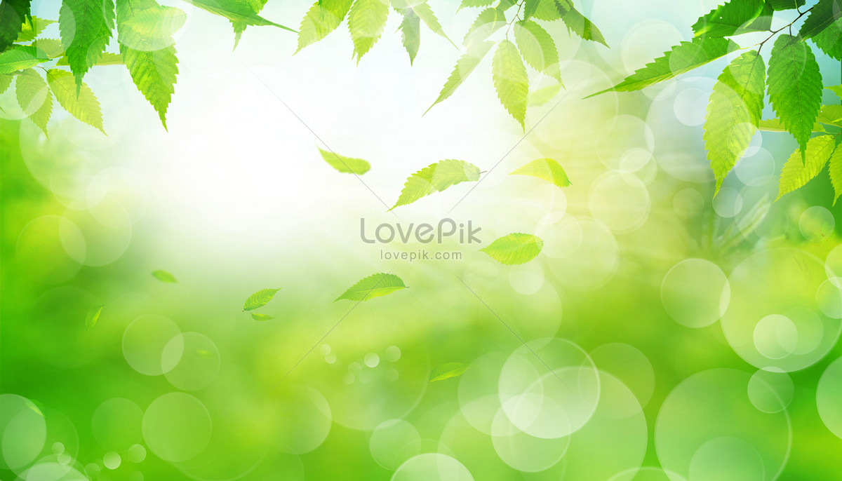 자연 이미지, 사진 및 Png 일러스트 무료 다운로드 - Lovepik