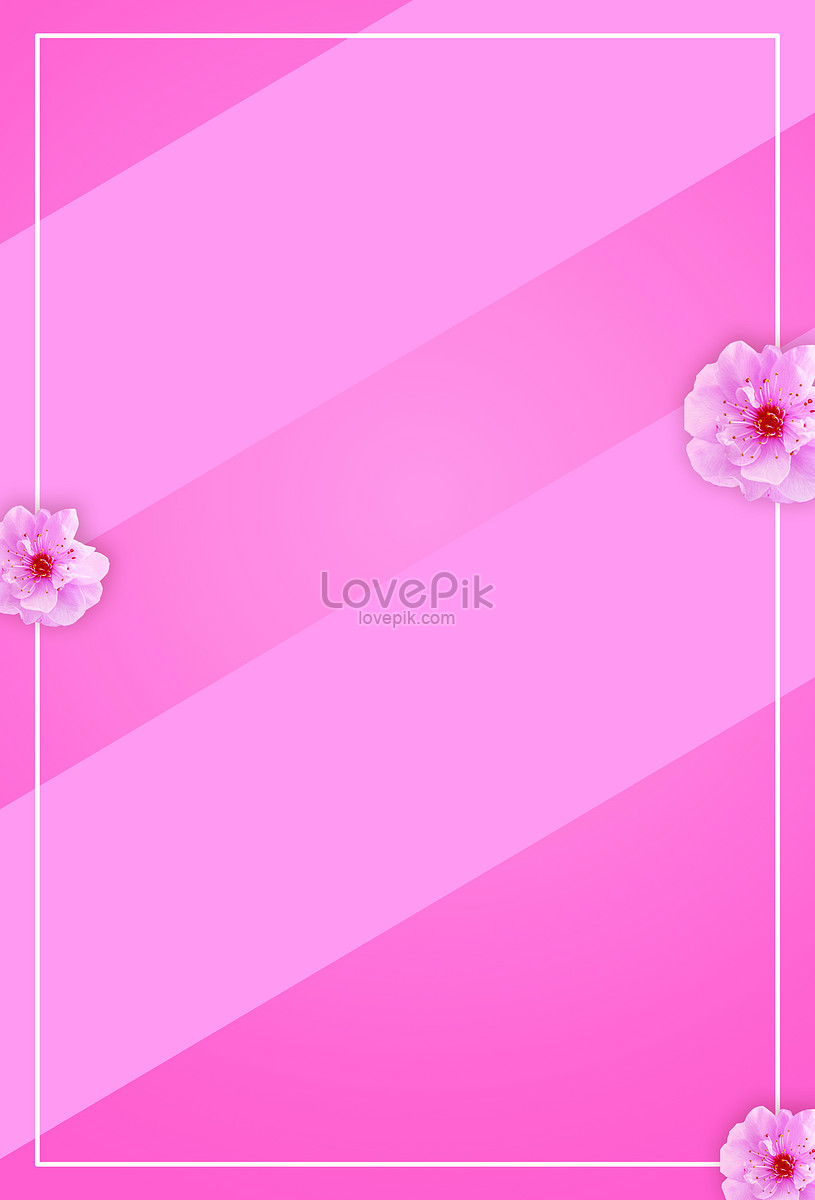 Fundo De Bloco De Cor Rosa Imagem Gr Tis Criativo N Mero Psd Formato Imagem Pt Lovepik Com