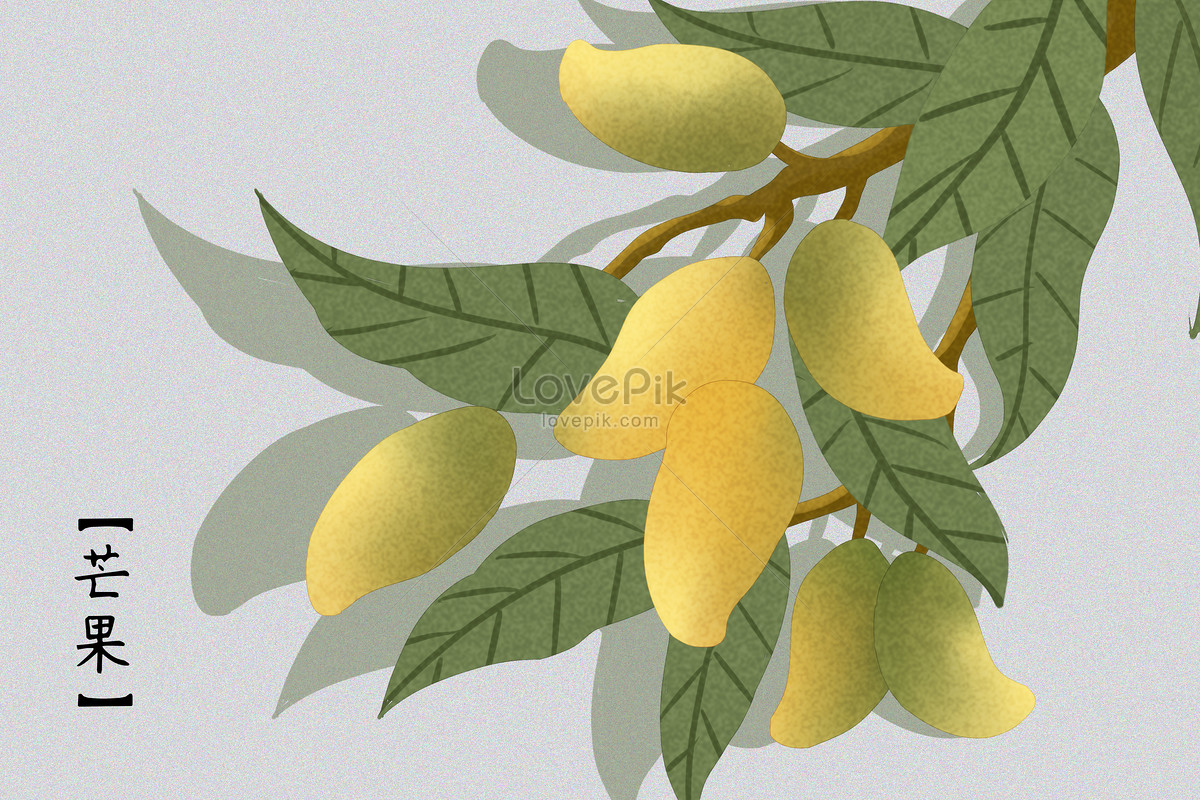Mango Tree PNGs for Free Download