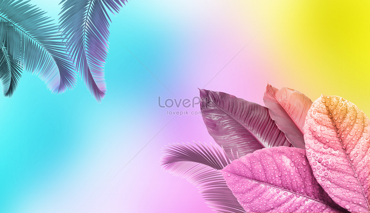 colorful photography backgrounds hd