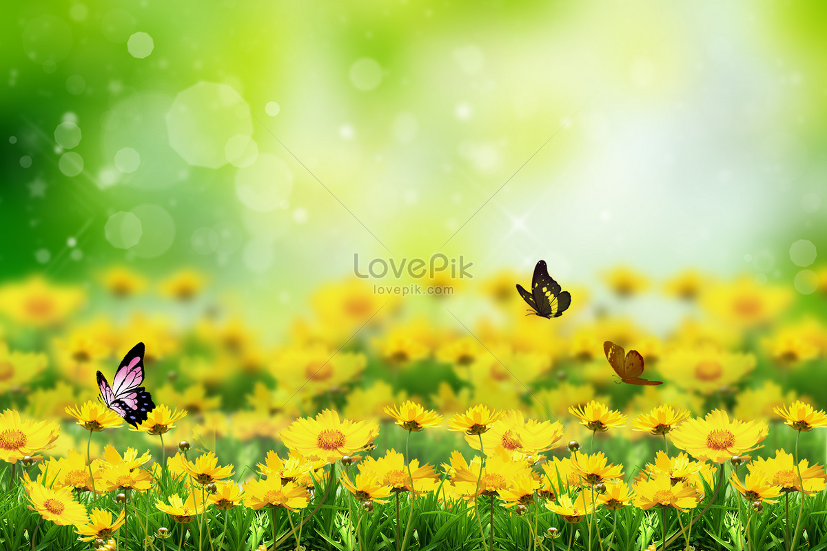 Spring Background Download Free | Banner Background Image on Lovepik