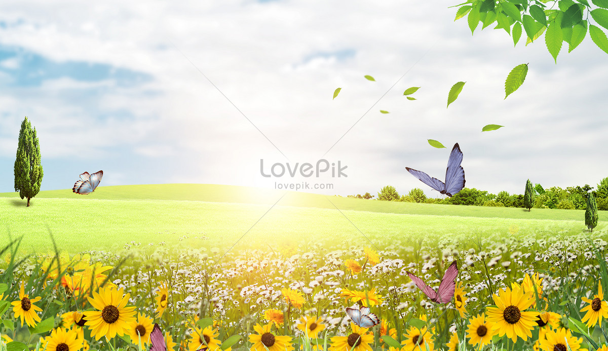 peaceful meadow background clipart