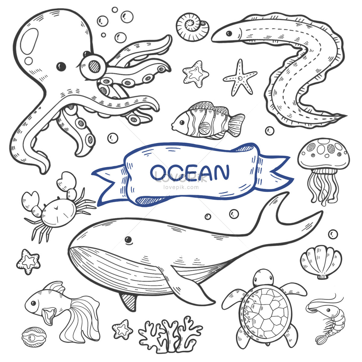 水下儿童涂色书页。鱼和海藻，海底世界。插画图片素材_ID:415019251-Veer图库