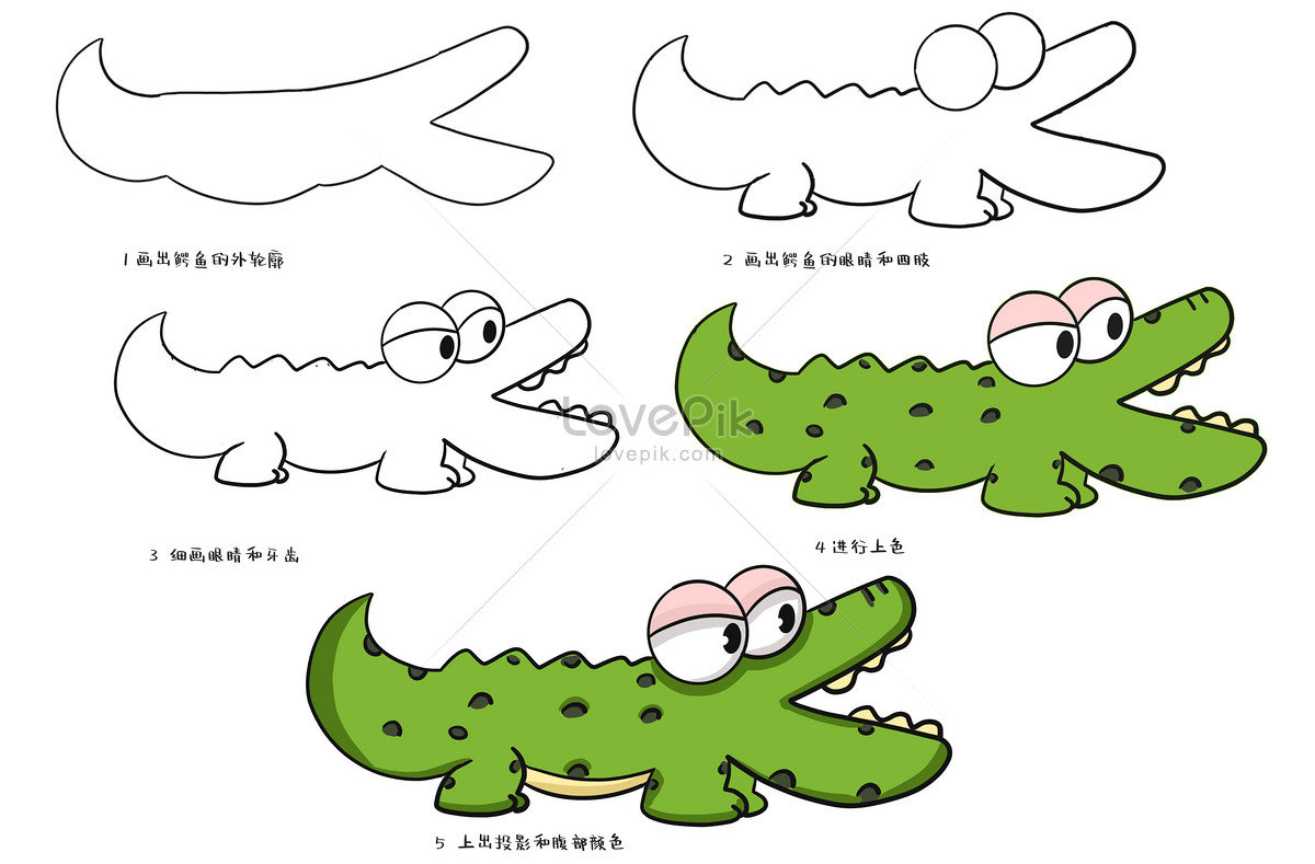 Crocodile Coloring Images - Free Download on Freepik