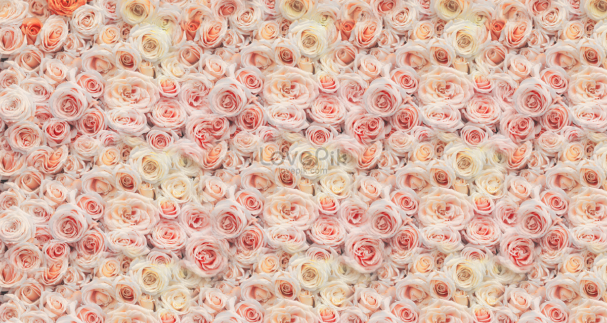 orange flowers on light pink background, beautiful floral