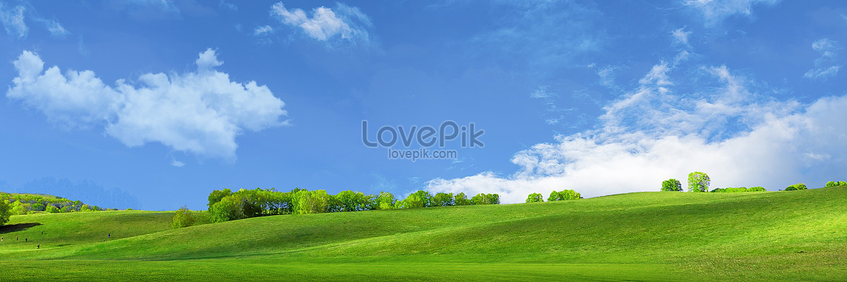 Cartoon Sky Grass Background Images, HD Pictures For Free Vectors Download  