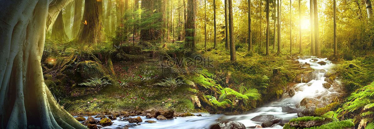 Fantasy Forest Scene Download Free | Banner Background Image on Lovepik ...