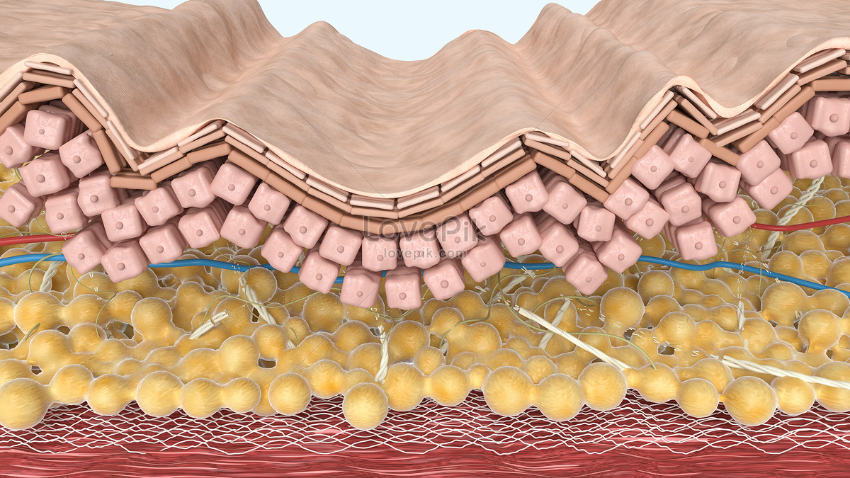 Micro skin model creative image_picture free download 401889832_lovepik.com