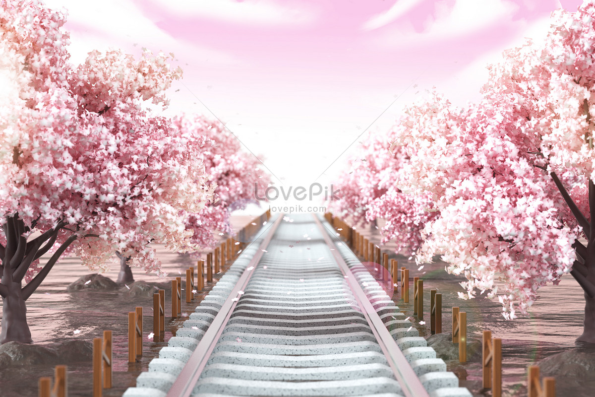 Pink Cherry Blossom Stage Background Backgrounds