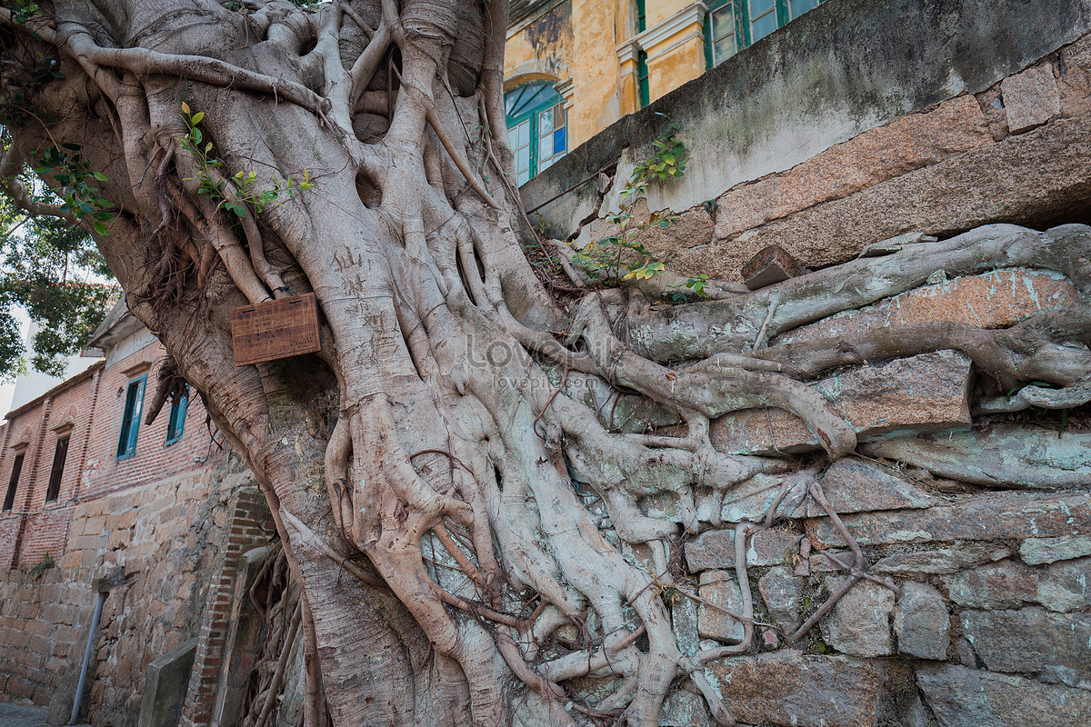 Wisata Xiamen Gulangyu Gambar Unduh Gratis Foto