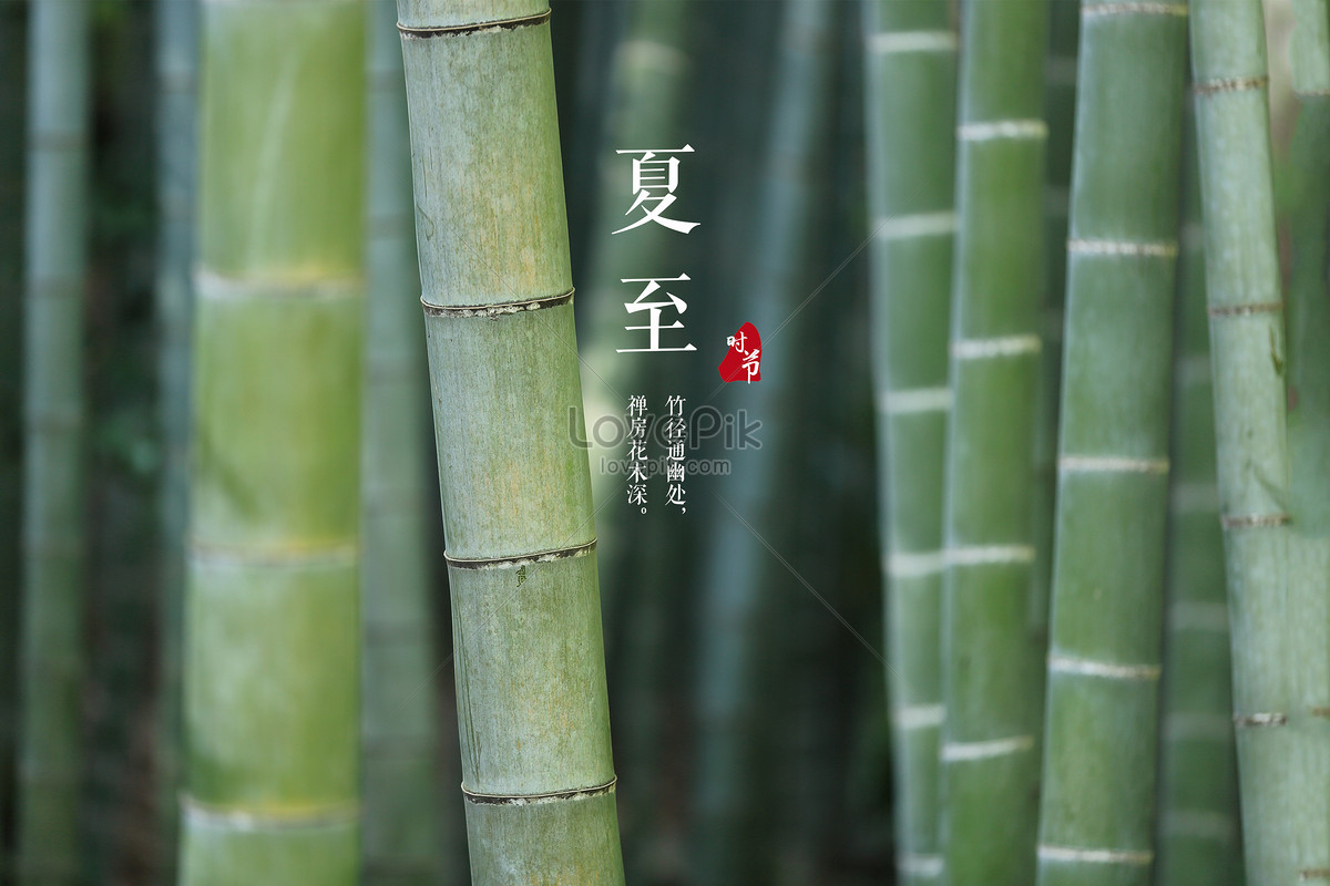 Menakjubkan 30 Gambar Pemandangan Hutan Bambu - Richi Wallpaper