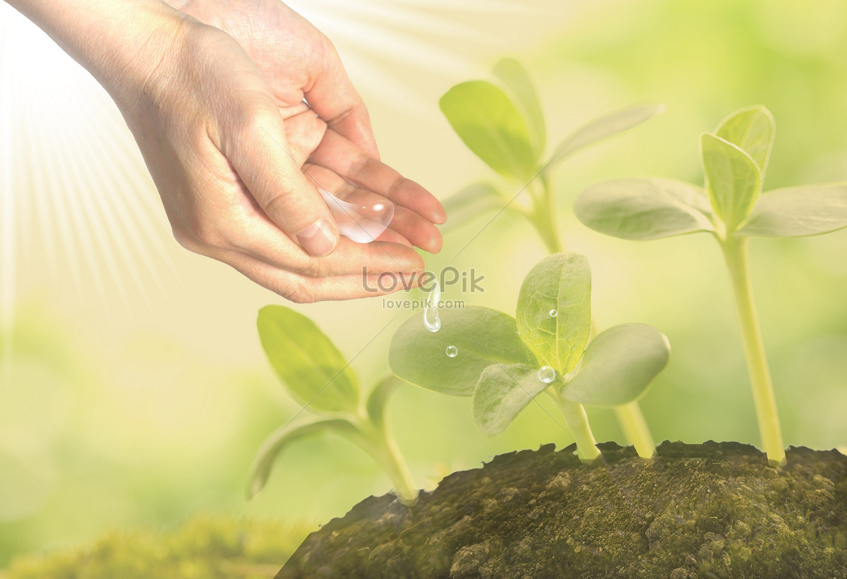 take-care-of-creative-image-picture-free-download-500555426-lovepik