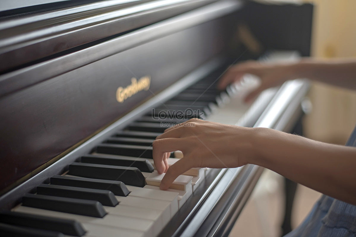 【练琴必备】学钢琴手型坐姿提示图，手贴在钢琴上... - 知乎