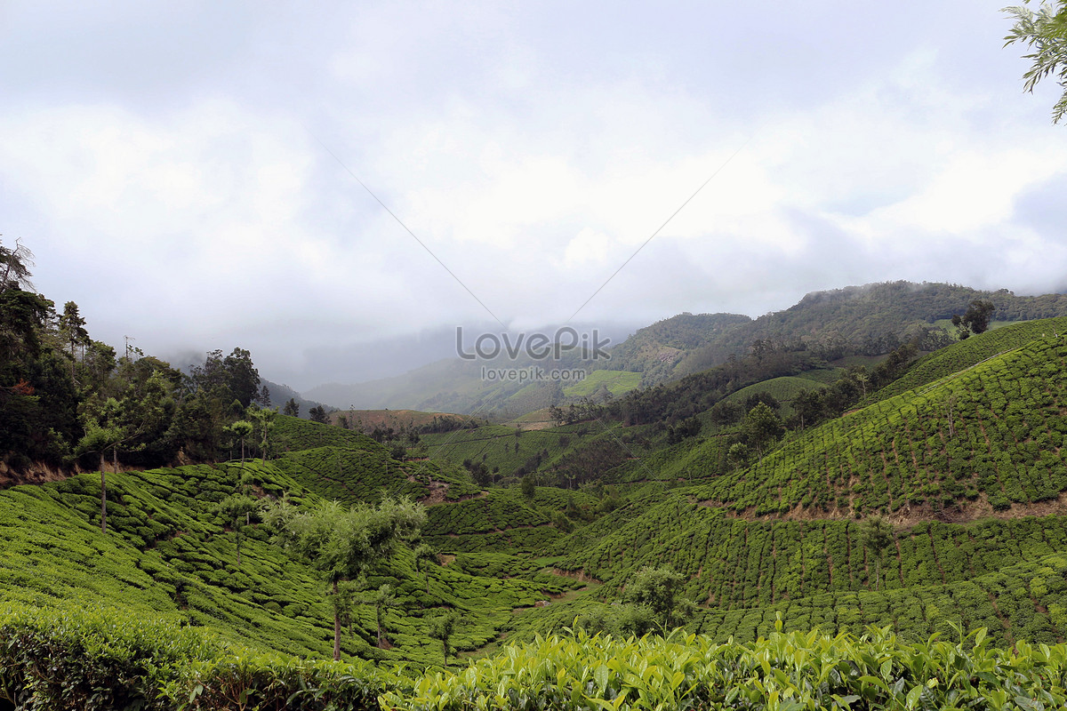 Unduh 90 Gambar Gunung Hijau Terbaik HD