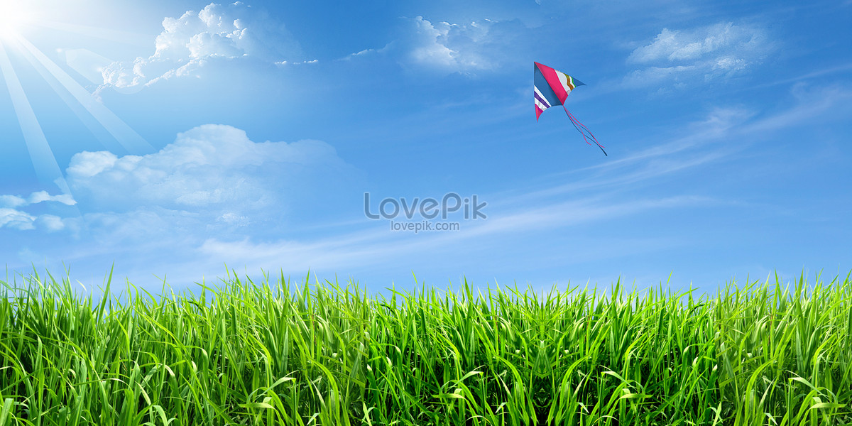 Pleasant spring, field, natural, green field Background image