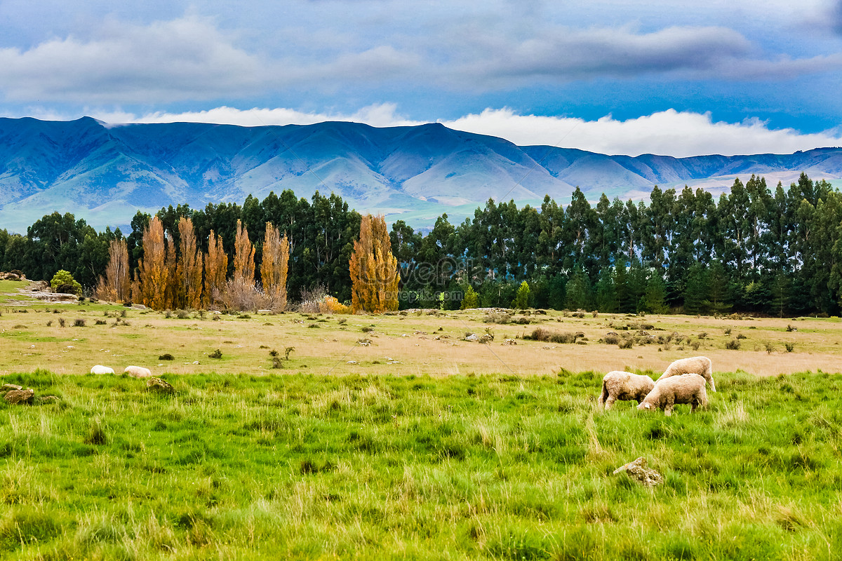  pemandangan  new  zealand  gambar  unduh gratis imej 500879103 