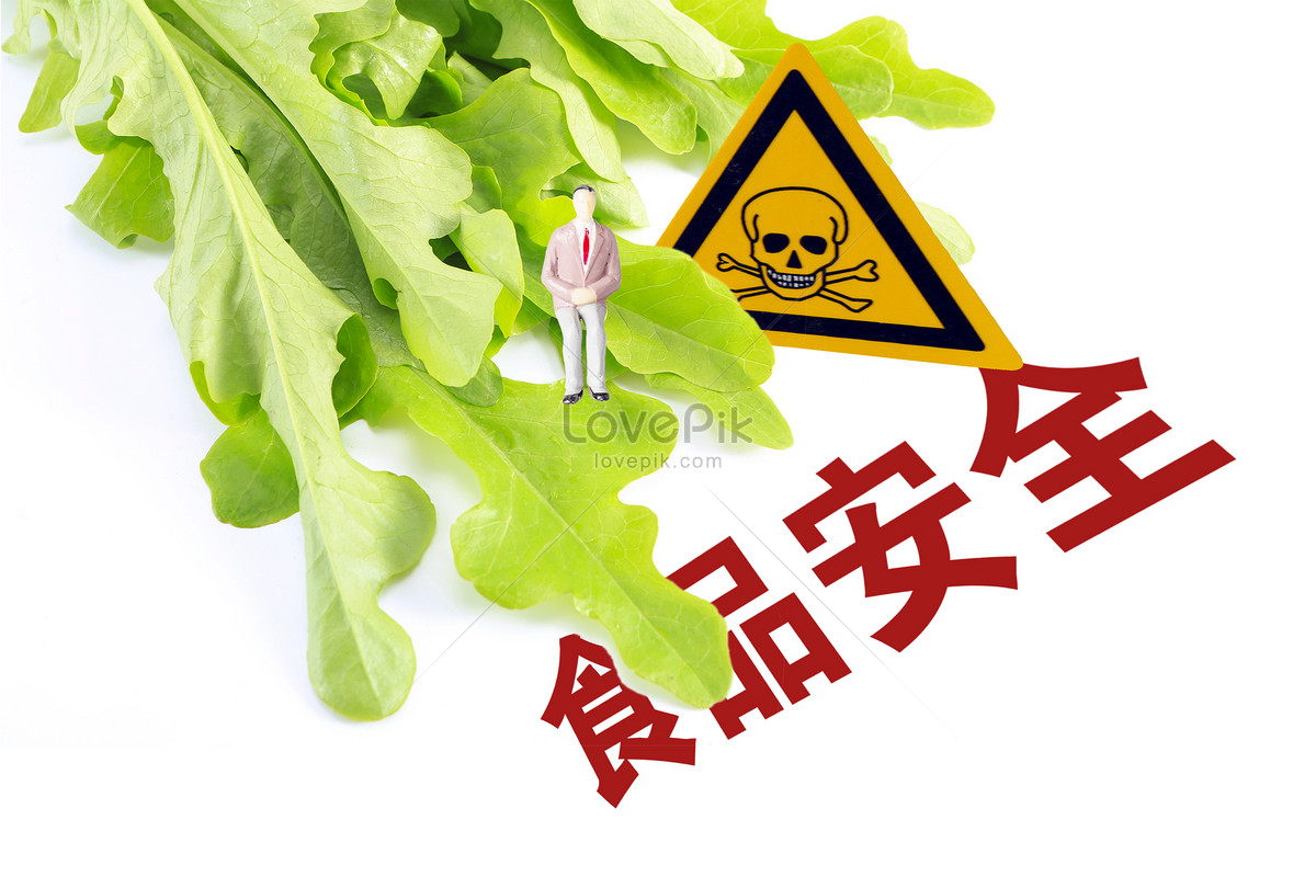 World Food Safety Day Known World Stock Illustration 2313594431 |  Shutterstock