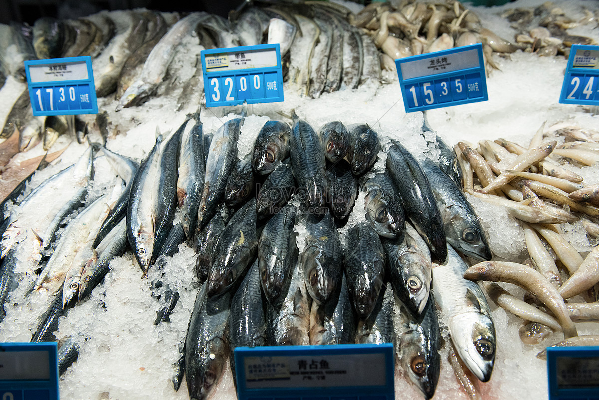 Makanan laut dan makanan laut di pasar raya gambar unduh 