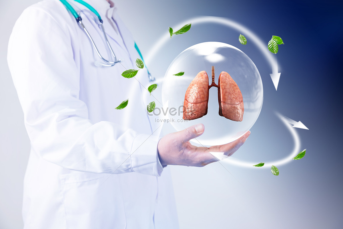 Lung Protection Images, HD Pictures For Free Vectors Download - Lovepik.com