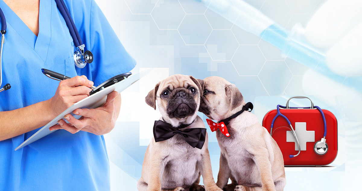 Animal Doctor Images, HD Pictures For Free Vectors Download 