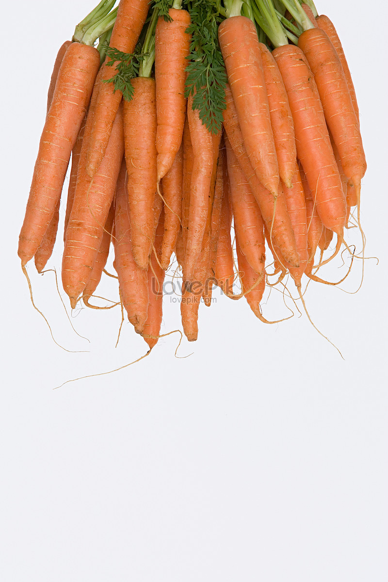 Пучок морковки фото. Пучковая морковь фото. Пучок морковки рисунок. Морковки пучком по три. Свяжи морковки в пучки