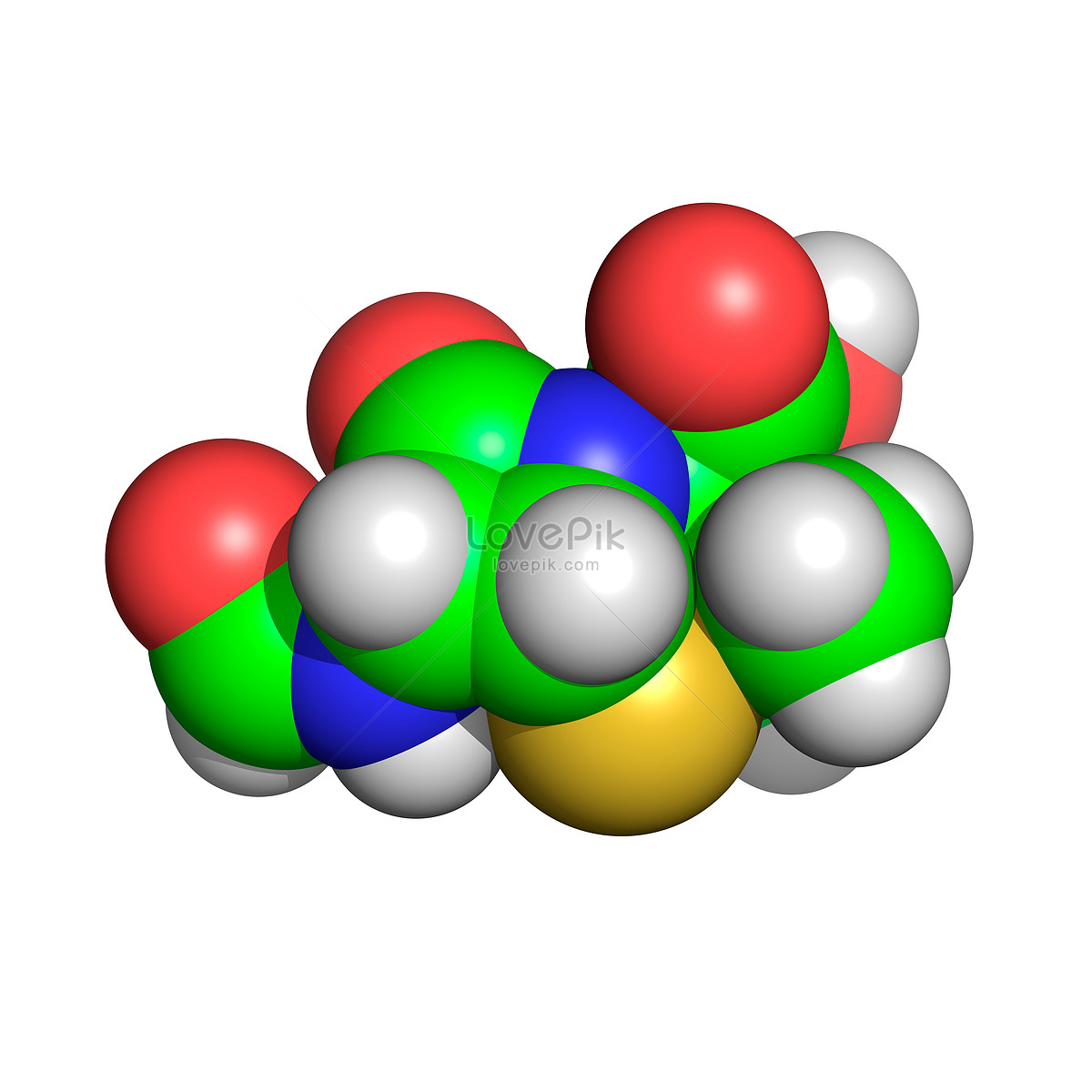 Penicillin model.