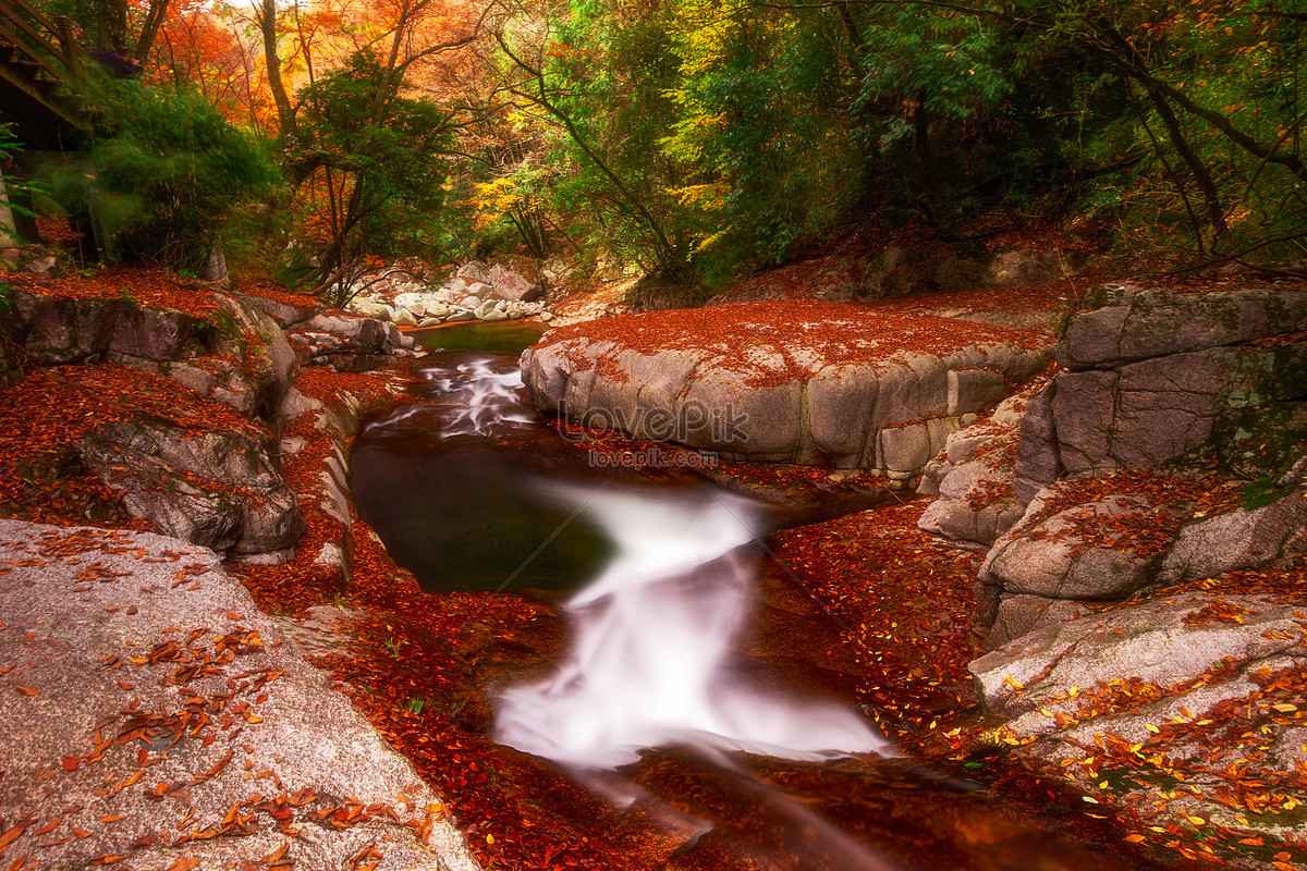 รูปเทศกาลใบไม้แดง Guangwu Mountain Net Red Scenic Area เฉิงตู เส, HD ...