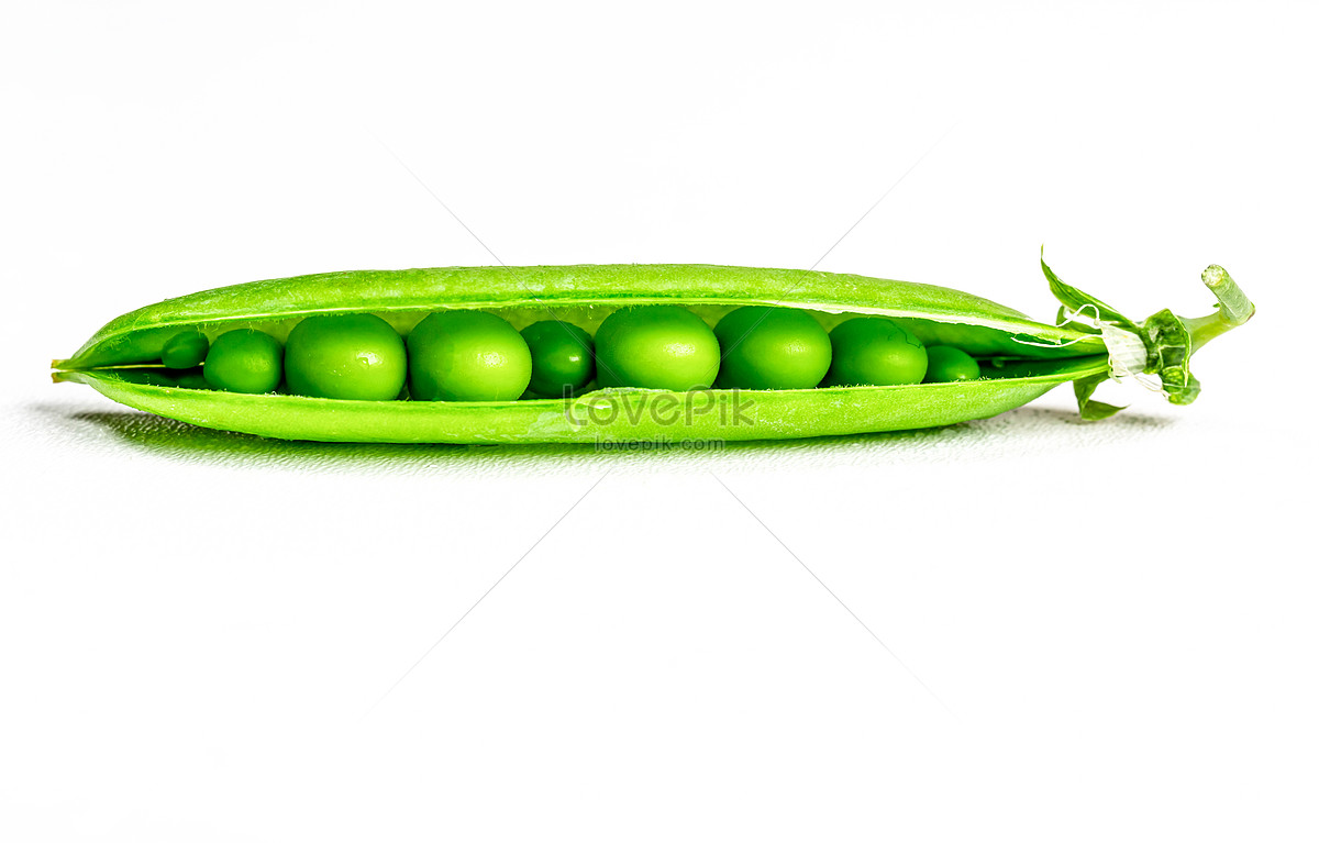 Peeled Peas Images, HD Pictures For Free Vectors Download - Lovepik.com