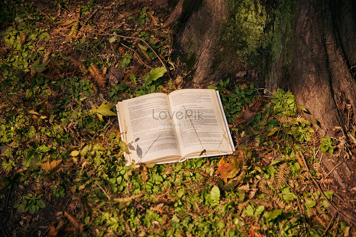 Опавшие листья книга. Листок книги картинка. Лист из книги на английском. Дом листьев книга. Book leaves.
