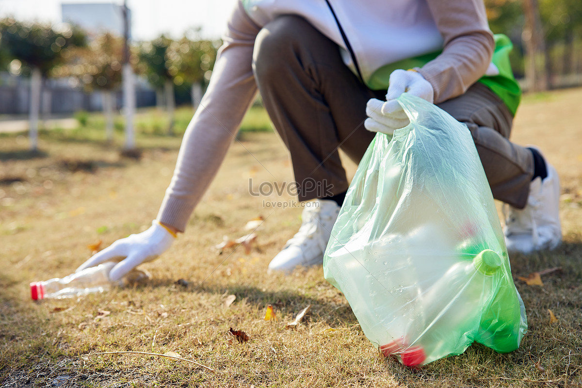 Close-up Of Environmental Volunteers Picking Up Trash Outdoors Picture ...