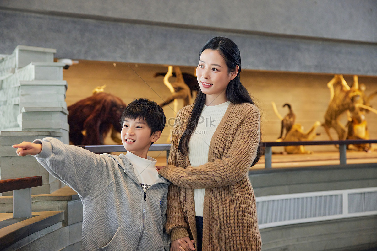 คุณแม่ยังสาวเยี่ยมชมพิพิธภัณฑ์ธรรมชาติกับลูกชายของเธอ Hd ภาพถ่ายเด็ก