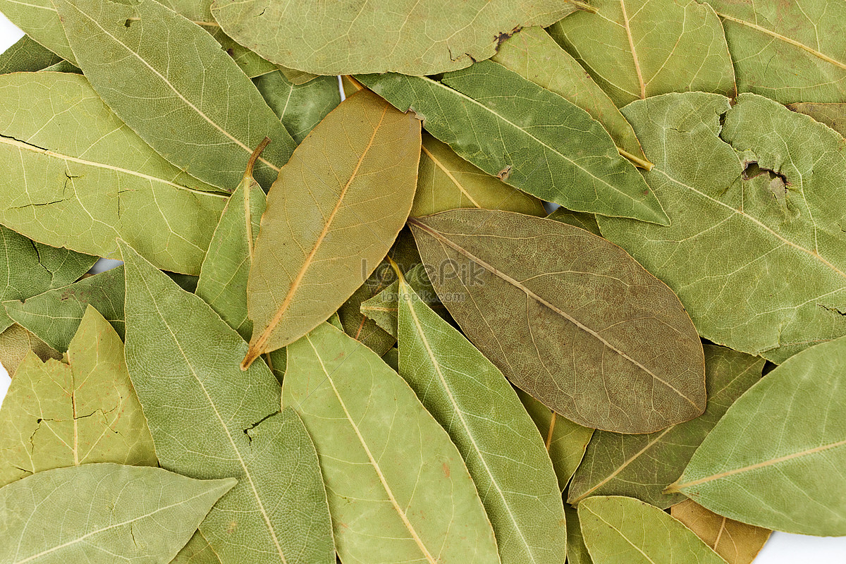 Seasoning Bay Leaves Picture And HD Photos | Free Download On Lovepik