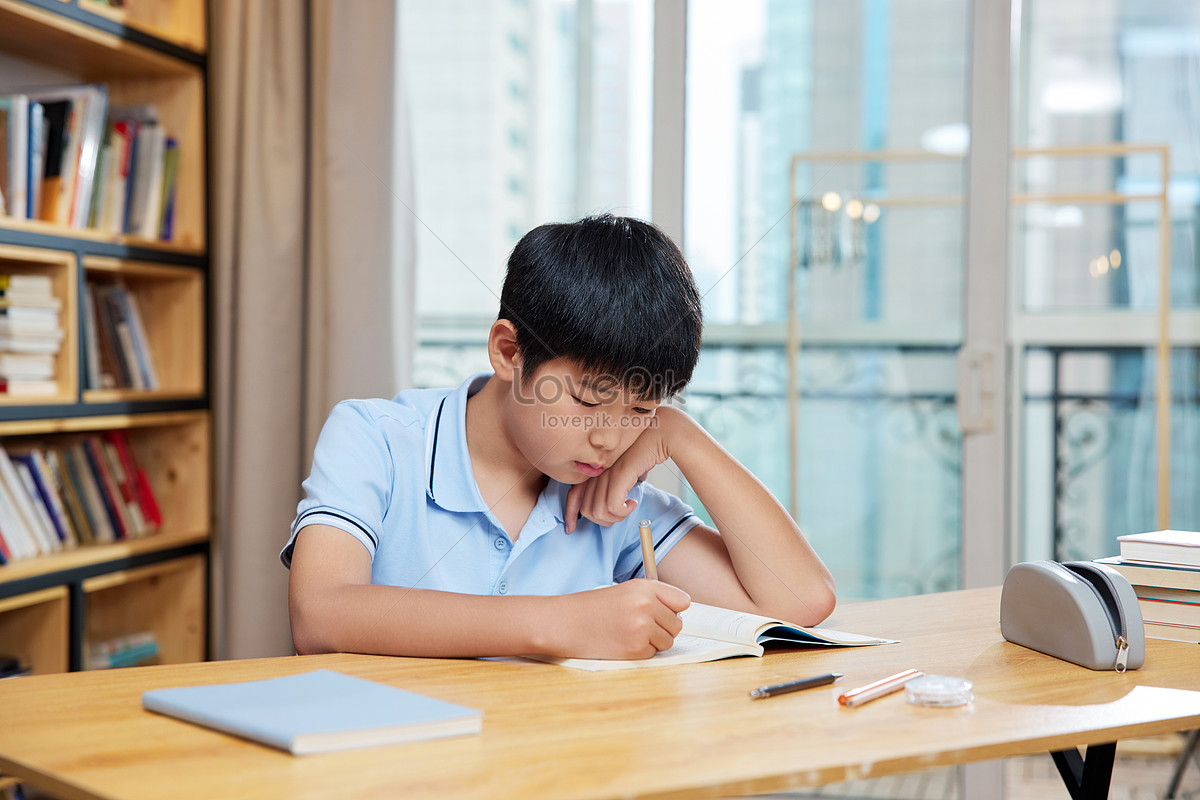 Boy who deserted from homework, write homework, primary school, review HD Photo