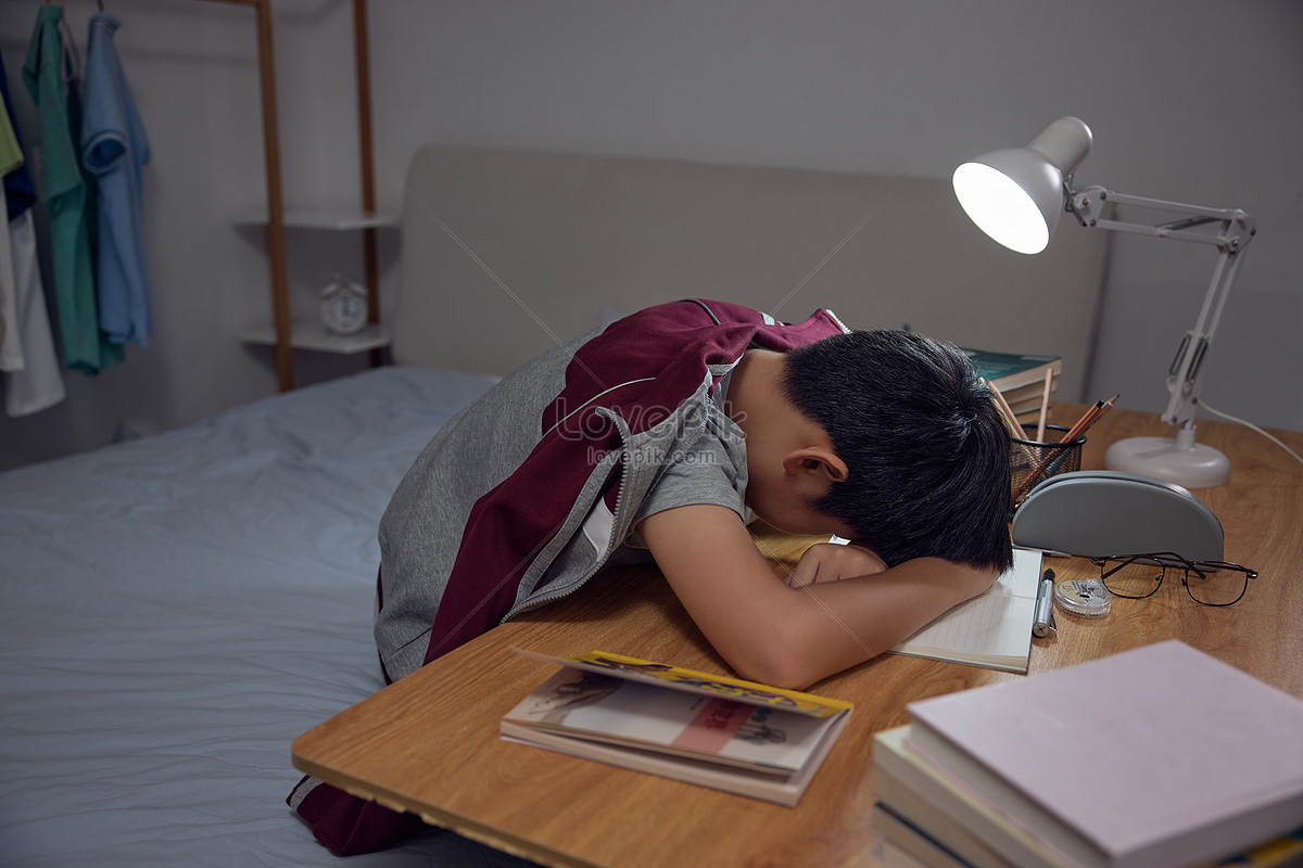 Boy falling asleep while doing homework, boy, child, educate HD Photo